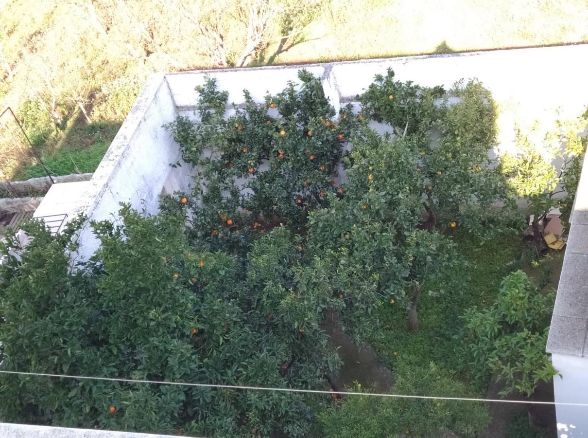 Villa Gardenia Ostuni Exteriér fotografie