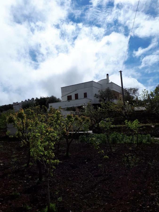 Villa Gardenia Ostuni Exteriér fotografie